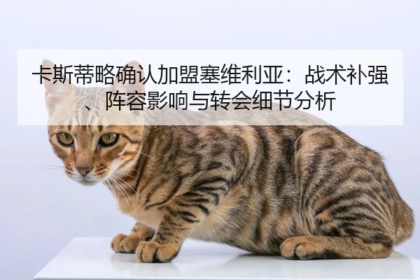 卡斯蒂略确认加盟塞维利亚：战术补强、阵容影响与转会细节分析