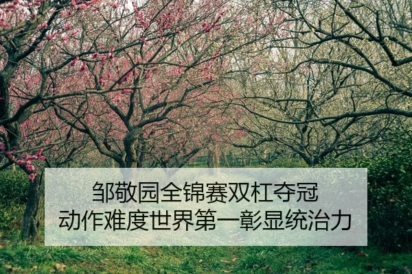 邹敬园全锦赛双杠夺冠 动作难度世界第一彰显统治力